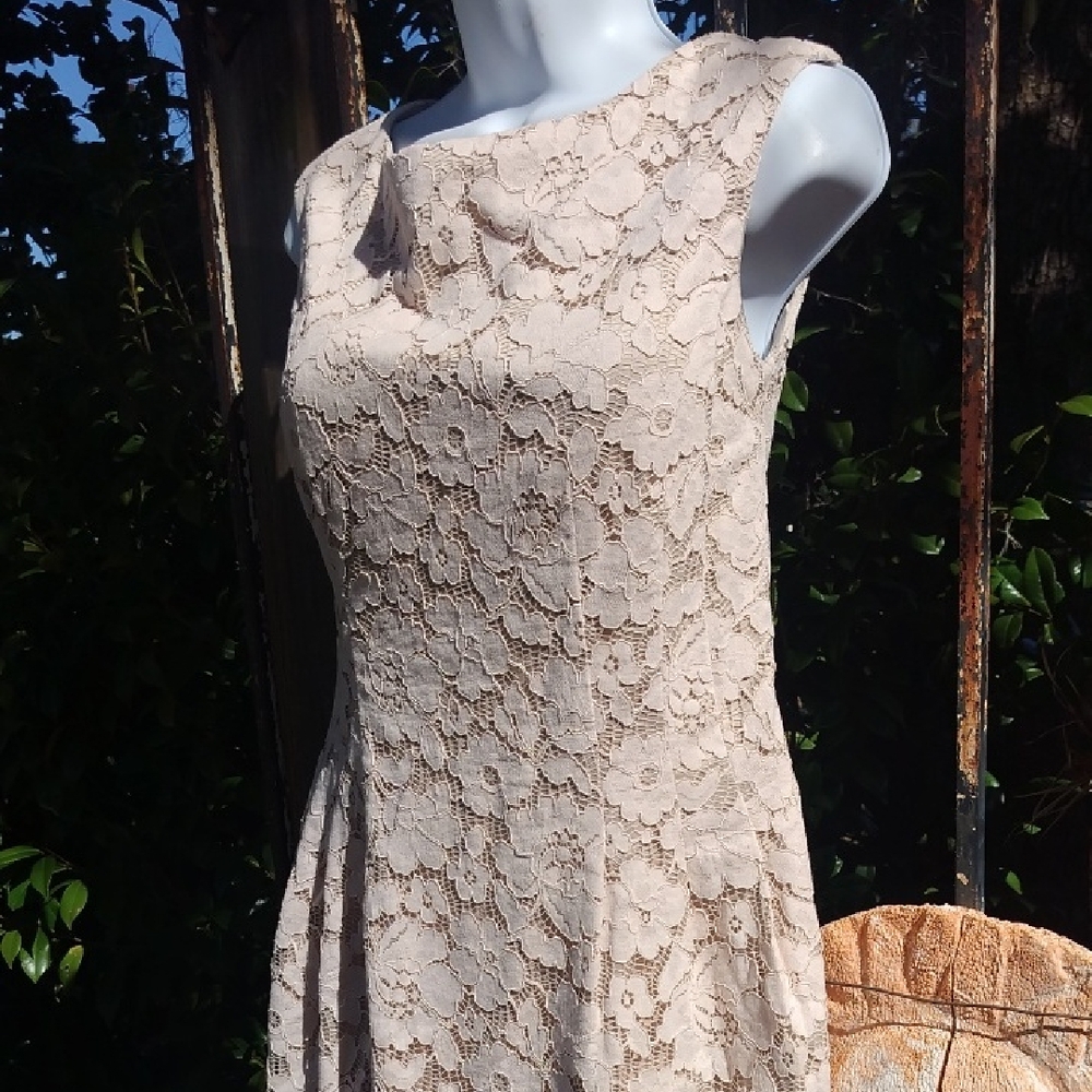 Vince Camuto Romantic Lace Blush Dress Size 6